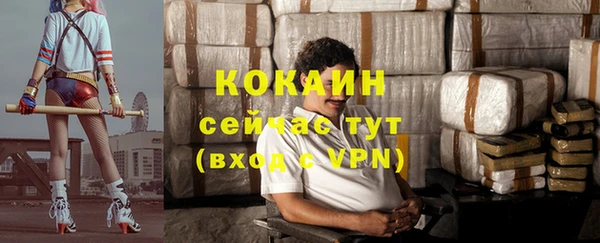 эйфоретик Баксан