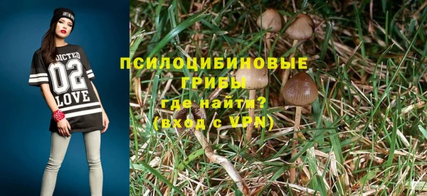 эйфоретик Баксан