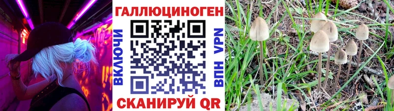 Галлюциногенные грибы мухоморы  даркнет сайт  Нижний Ломов 